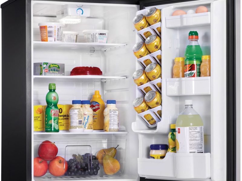 Refrigerator for the Garage: Standard Models Aren't the Best Match for ...