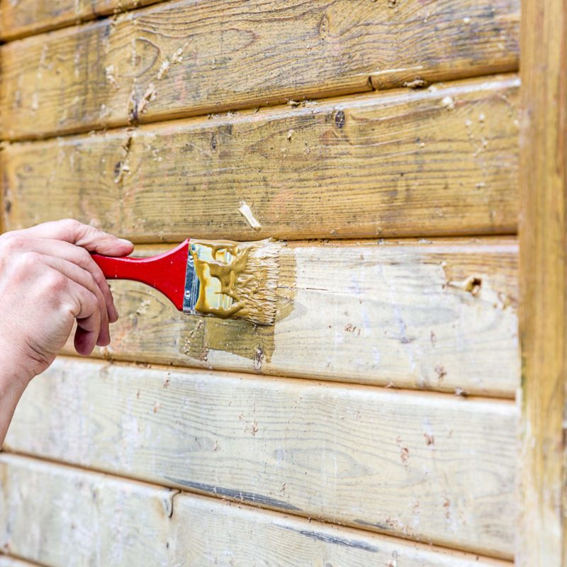 remove-mulch-artillery-fungus-from-siding-the-money-pit