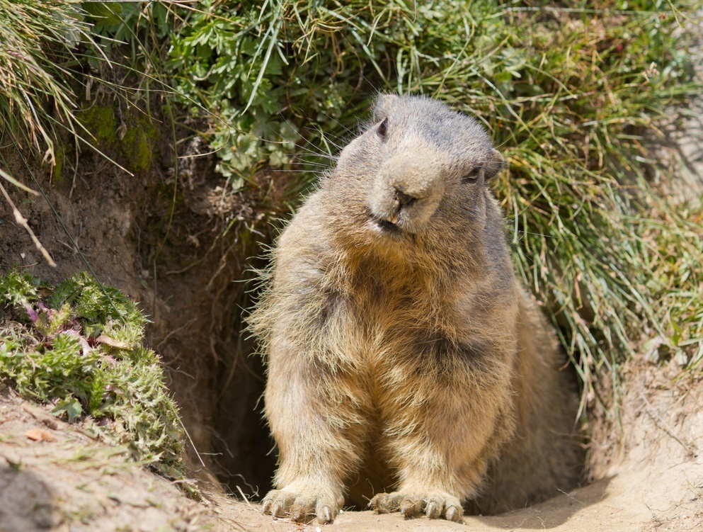 how to escape groundhog day