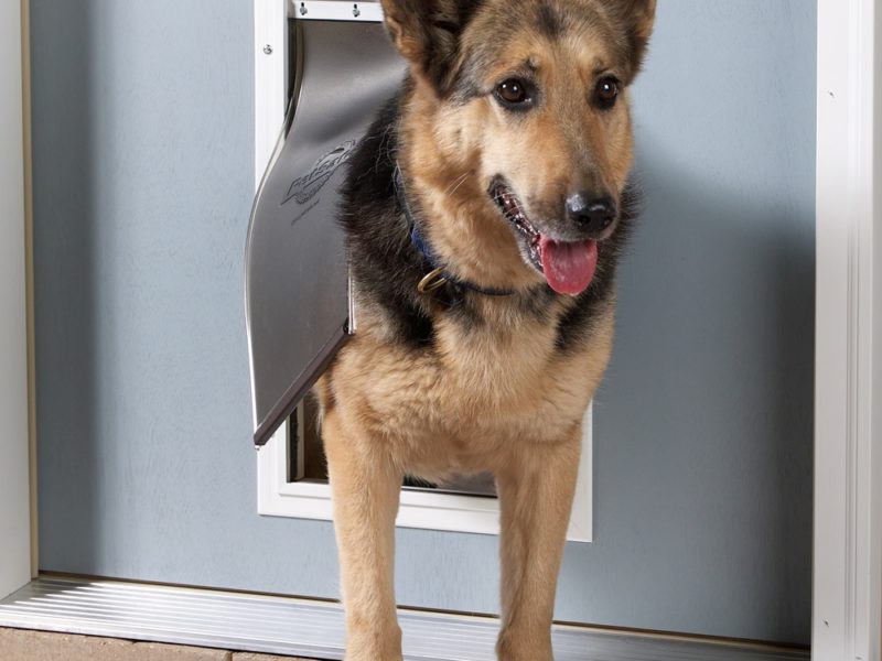 How To Install A Pet Door The Money Pit