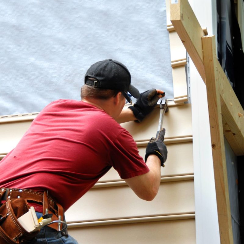 Best Way To Remove Artillery Fungus From Vinyl Siding