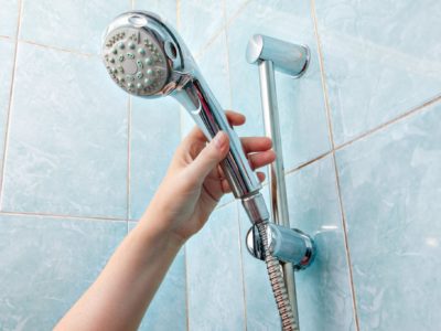 handheld shower head