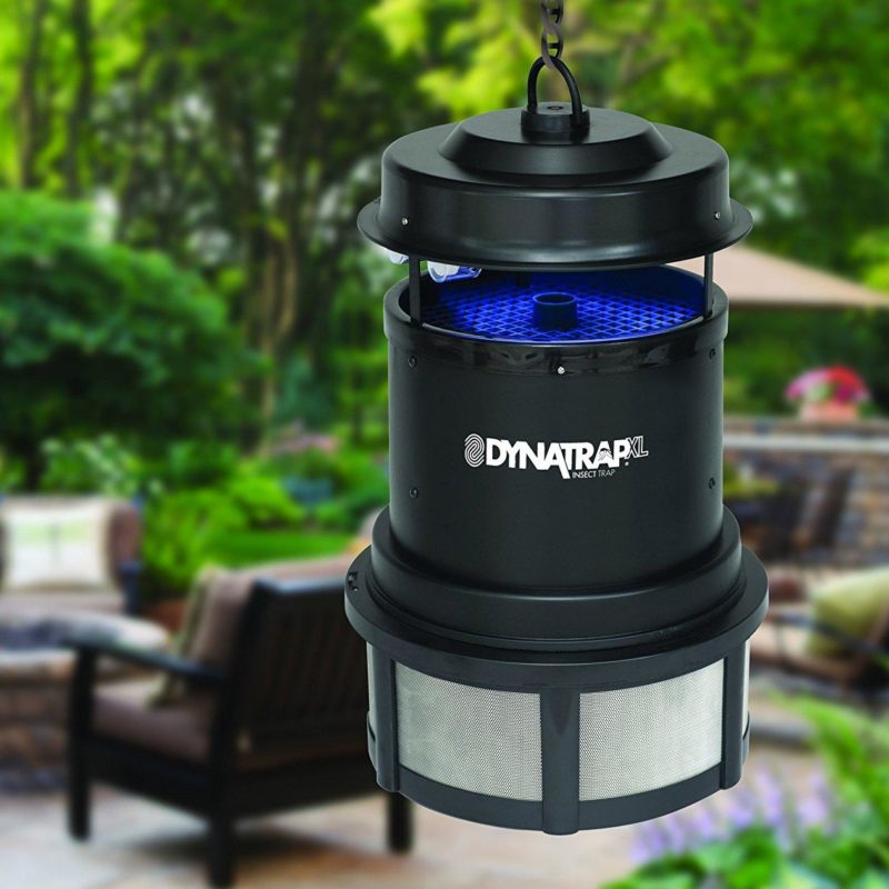 Mosquito Proof Your Yard » The Money Pit