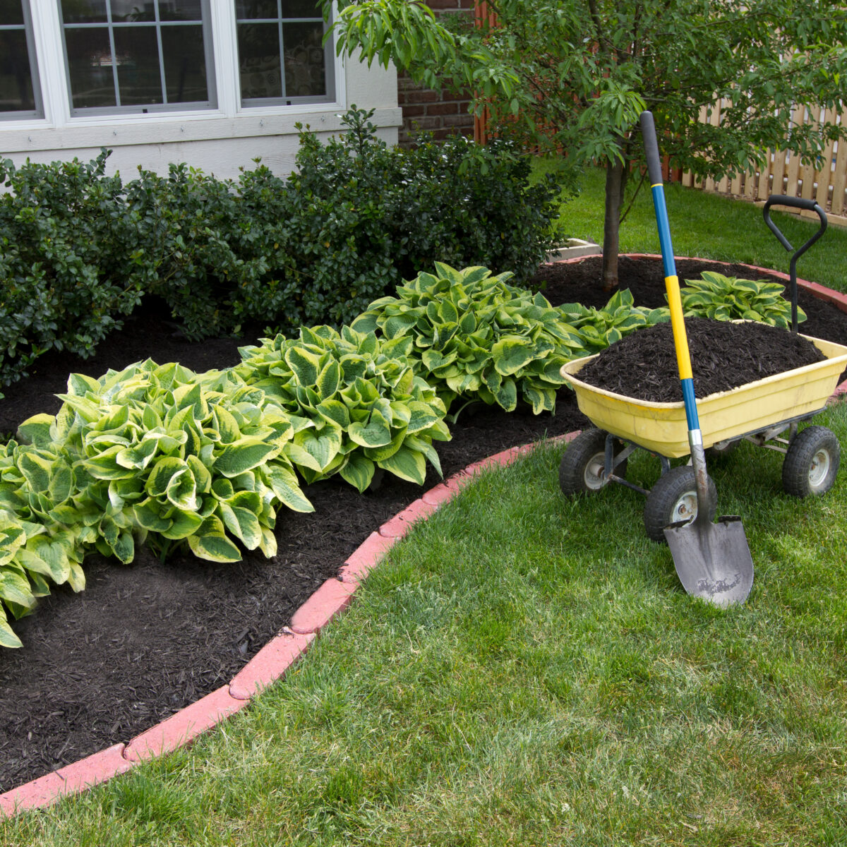 how-to-dry-out-a-wet-basement-fast-restoration-360