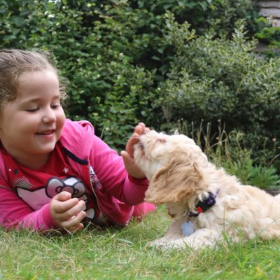 Child playing with a puppy on grass